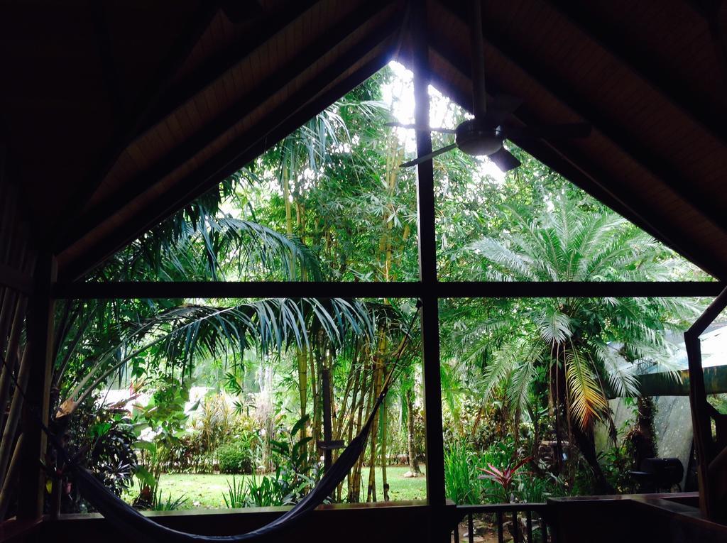 Casa Manglar Villa Puerto Jiménez Екстериор снимка