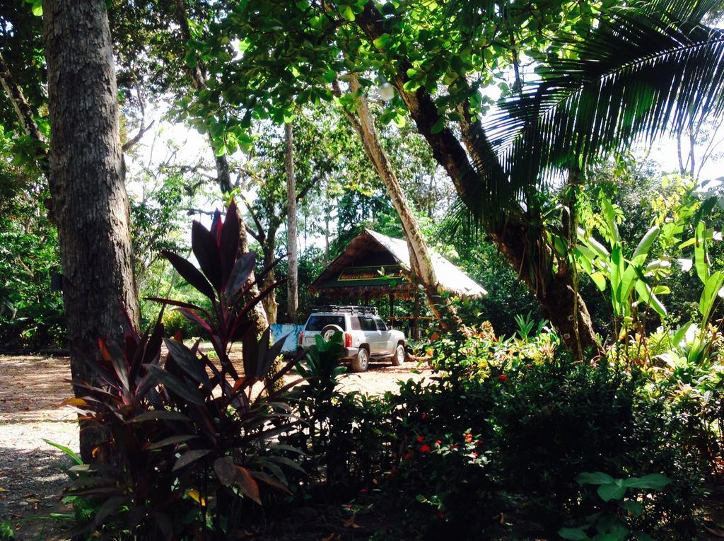 Casa Manglar Villa Puerto Jiménez Екстериор снимка