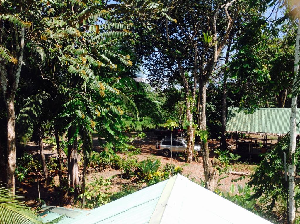 Casa Manglar Villa Puerto Jiménez Екстериор снимка