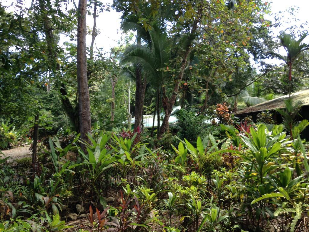 Casa Manglar Villa Puerto Jiménez Екстериор снимка